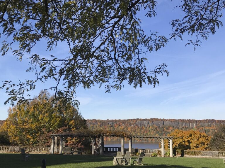 Pergola fall 2